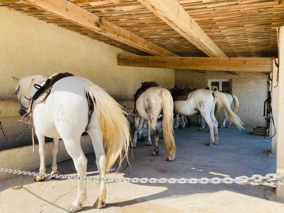 Manade Des Baumelles Bed and breakfast